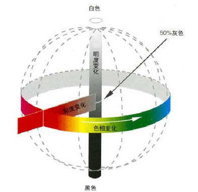 圖片1 (1).png