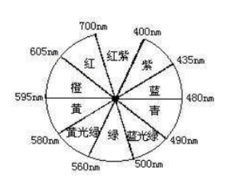 圖片4 (1).png